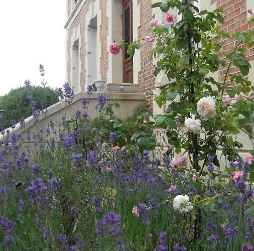 Fleur De Panzió Senon